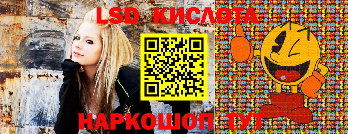 Меф Губкинский