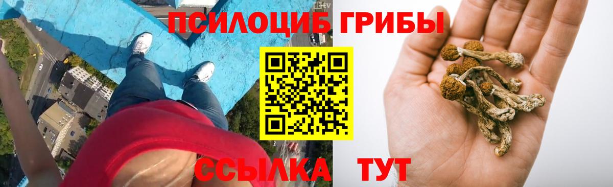 Псилоцибиновые грибы ЛСД Губкинский