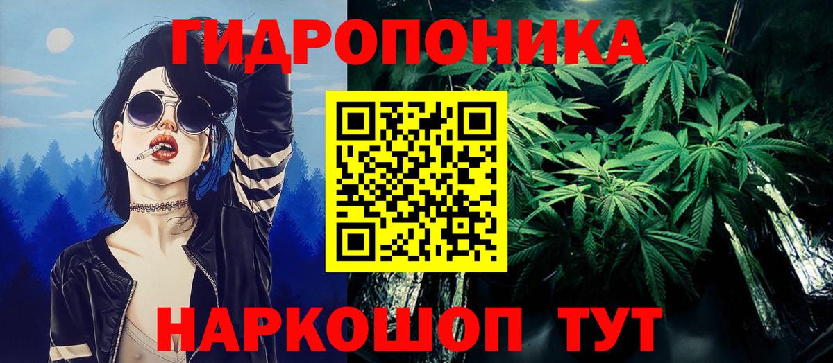 Бошки Шишки семена  Конопля LSD WEED  Вход с VPN  Губкинский  Бошки марихуана SATIVA & INDICA 